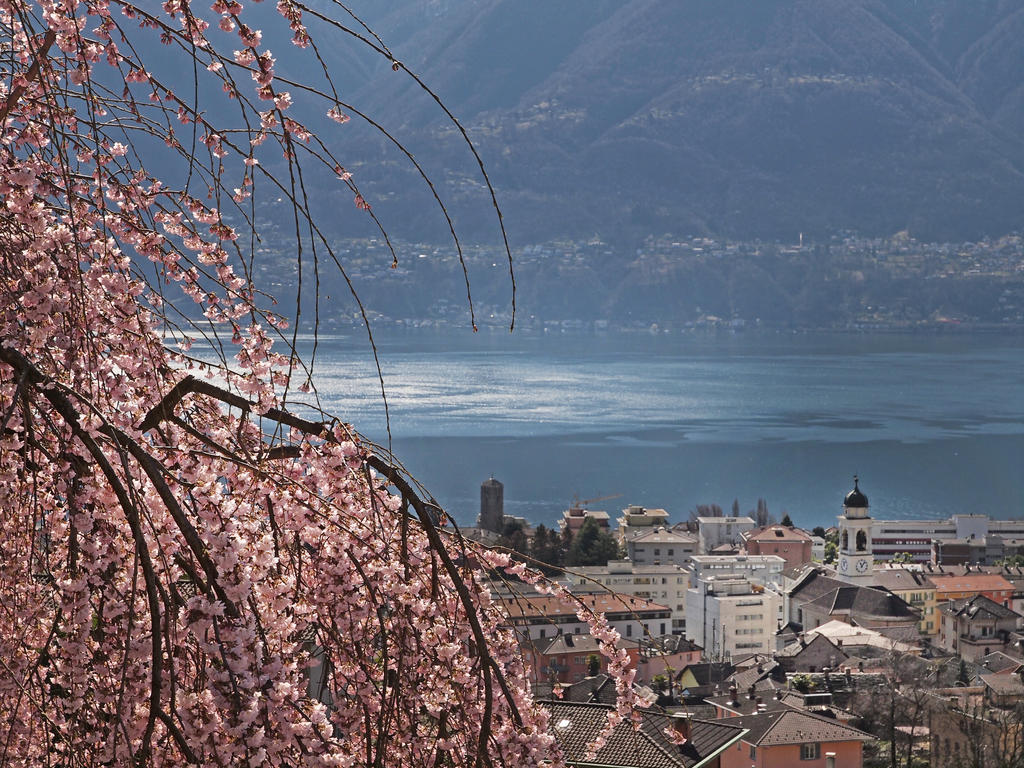 Casa Sibylle Bei Locarno 아파트 외부 사진